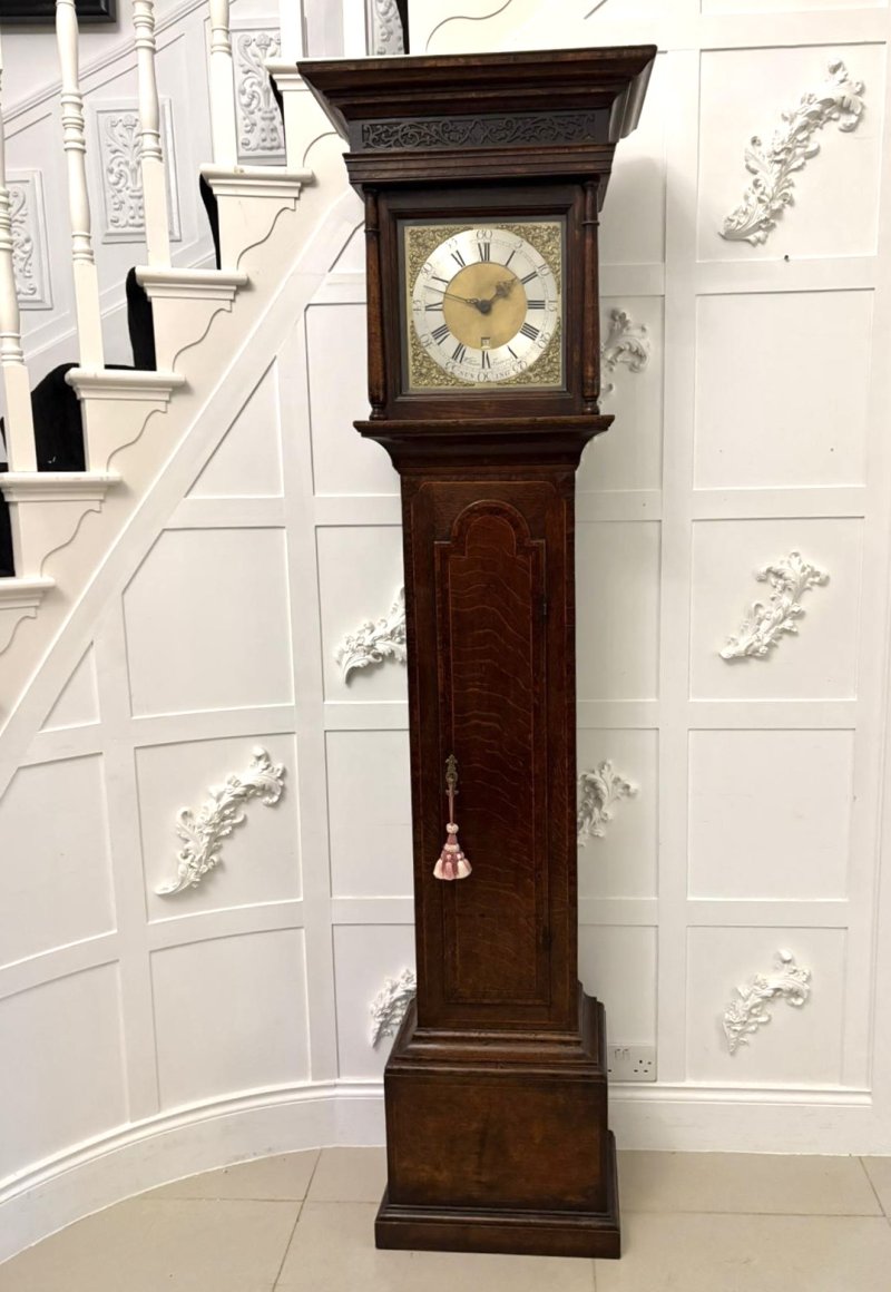 Outstanding Quality Antique George III Oak and Burr Oak Brass Face Longcase Clock